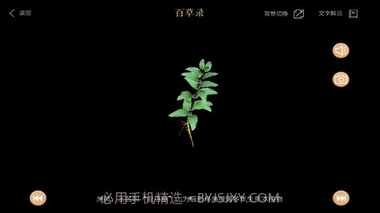 百草录截图3