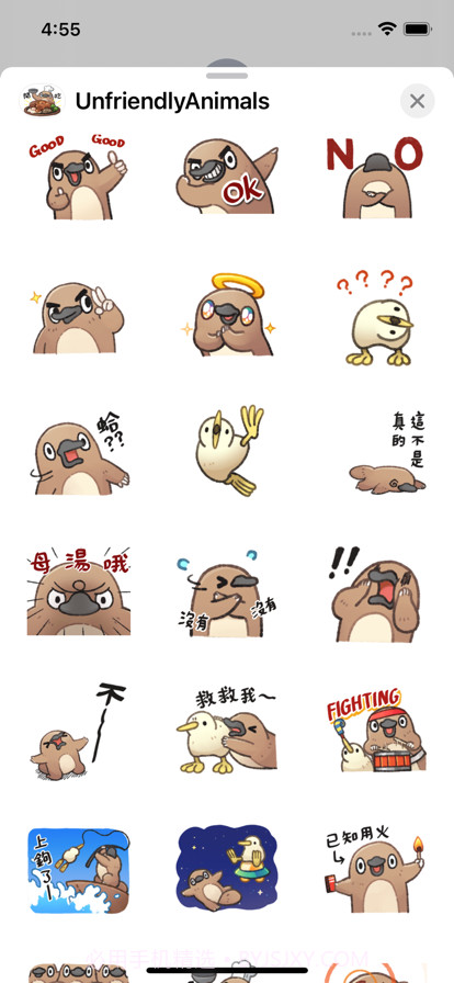 不友好活波鸟截图1