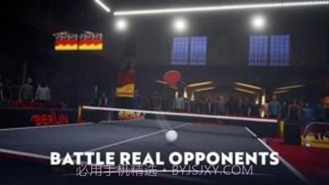 激烈乒乓球截图3