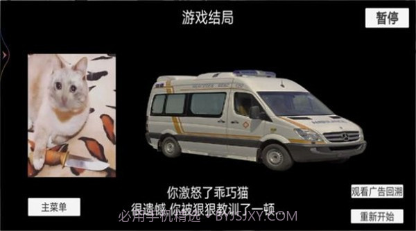 猫猫惊魂夜截图3