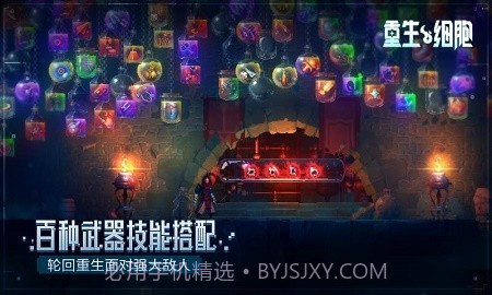 重生细胞无邪魔极天道截图3