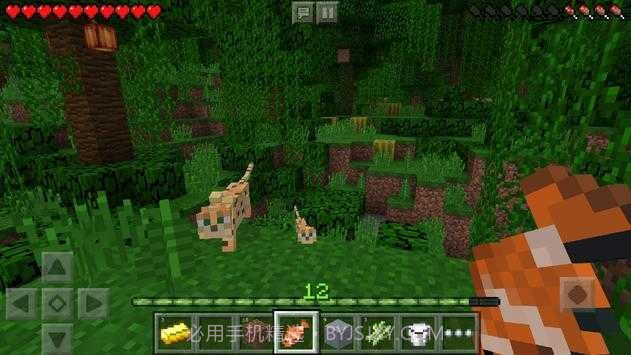 我的世界1.17.40.20中文版截图3