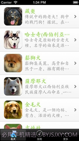 世界名犬大全截图5