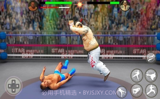 世界拳击队摔角比赛截图2