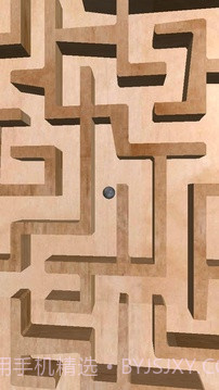 3D经典迷宫游戏截图5