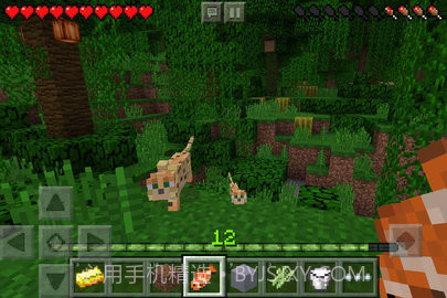 我的世界java版（Minecraft）截图2