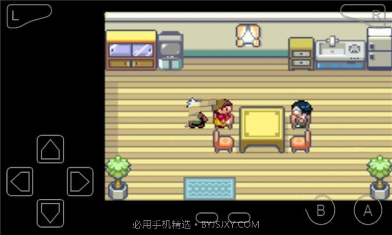 口袋妖怪绿宝石全随机截图3