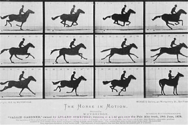 犯罪冲突疯狂的圣安地列斯截图4