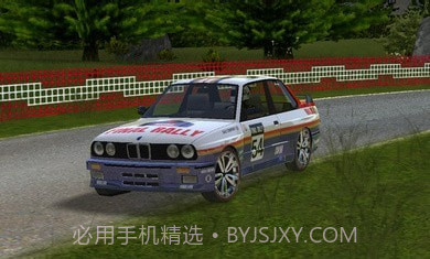 极限赛车最终拉力赛截图1