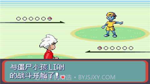 口袋妖怪蛇纹木截图3