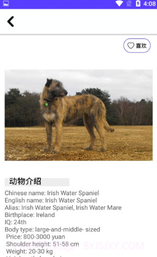 狗狗图鉴截图2 狗狗图鉴截图2