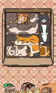 盒子猫截图3