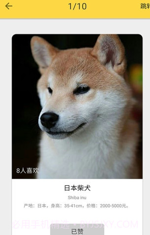 狗狗图鉴截图3 狗狗图鉴截图3