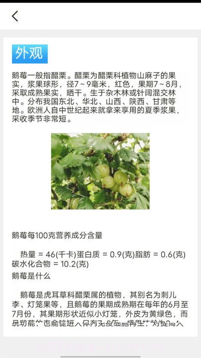 口袋水果知识科普截图4