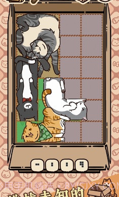 盒子猫截图1