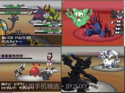 口袋妖怪黑2 中文版截图4 口袋妖怪黑2 中文版截图4