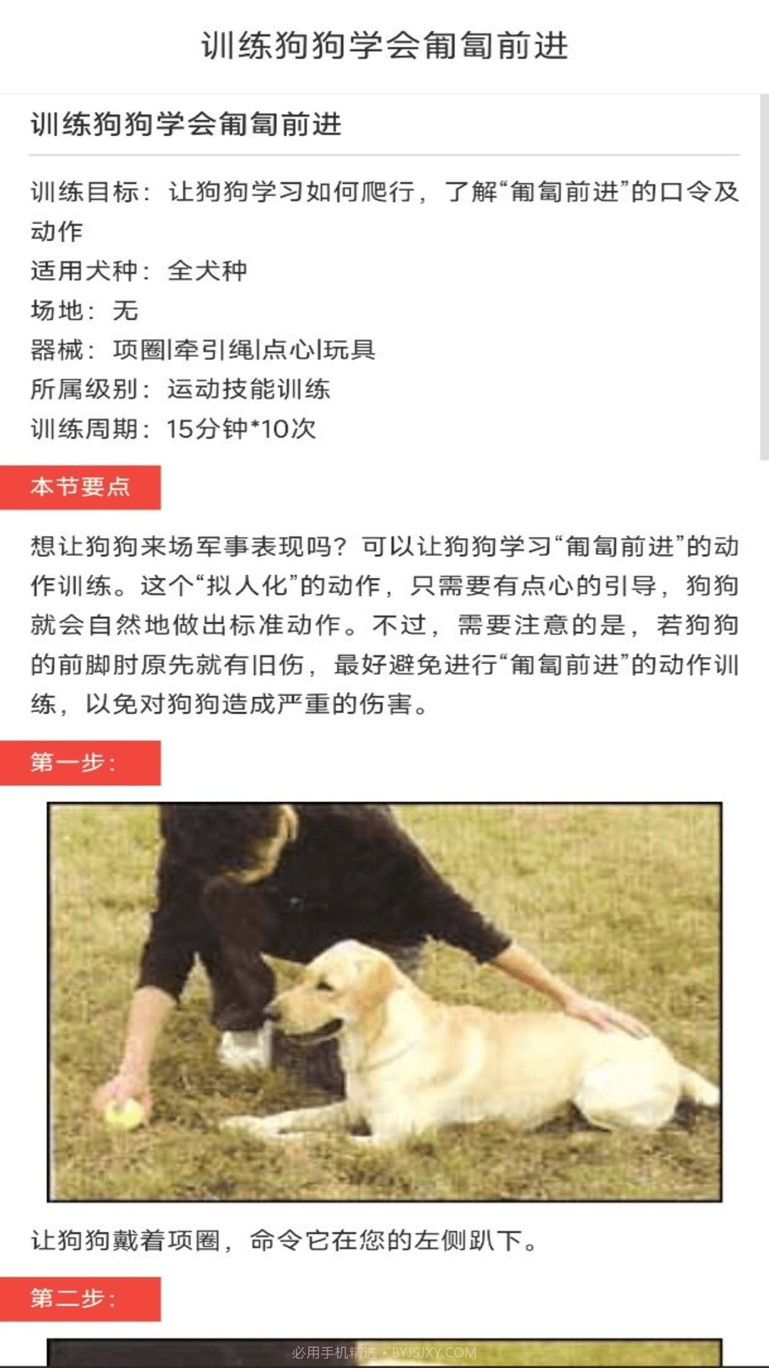 动物对话翻译器中文版免费安卓截图2 动物对话翻译器中文版免费安卓截图2