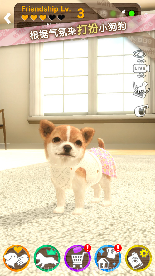 我的梦中情狗截图5 我的梦中情狗截图5