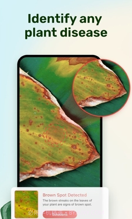 植物养护指南截图4 植物养护指南截图4