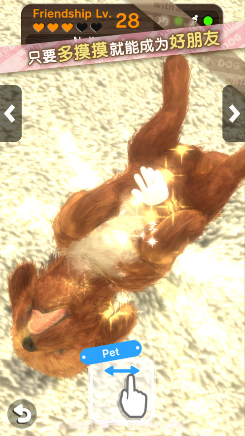 我的梦中情狗截图8 我的梦中情狗截图8