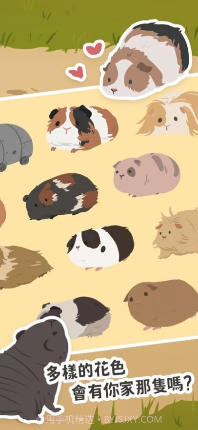 天竺鼠农场截图3 天竺鼠农场截图3