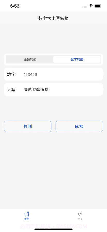 金额大小写截图2