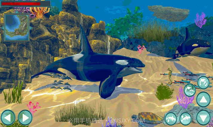 鲸鱼生存大作战截图1