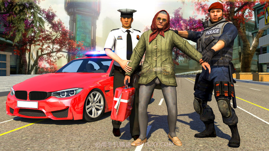 盛大模拟器奶奶黑手党截图3 盛大模拟器奶奶黑手党截图3