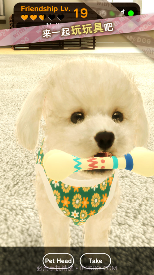 我的梦中情狗截图6 我的梦中情狗截图6