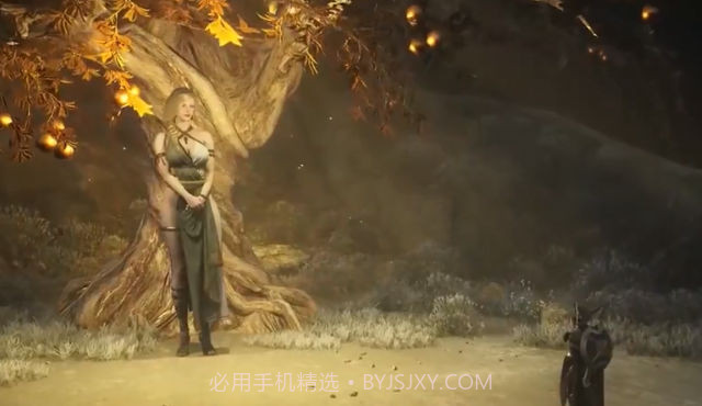 蔷薇骑士团截图4