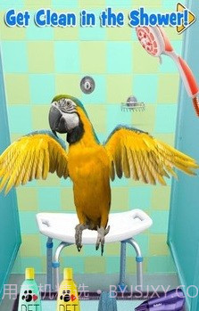 新生宠物兽医截图1 新生宠物兽医截图1