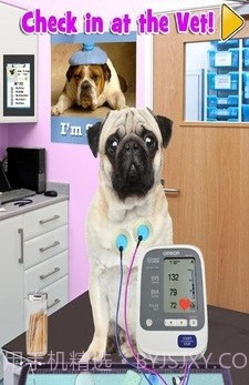 新生宠物兽医截图4 新生宠物兽医截图4