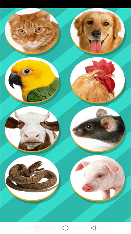 动物交流模拟器截图3 动物交流模拟器截图3