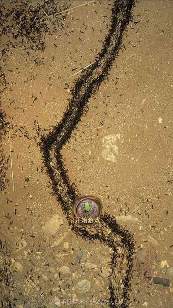 地下蚁国蚁族崛起截图3 地下蚁国蚁族崛起截图3