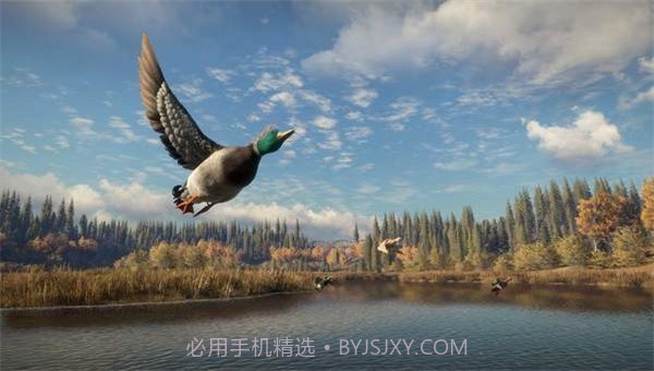 猎人荒野的召唤截图2