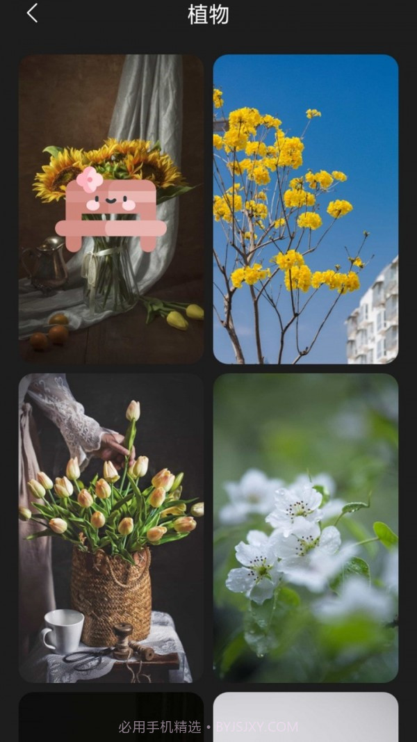 布丁壁纸截图1 布丁壁纸截图1