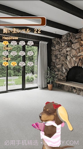 家有小狗截图1 家有小狗截图1