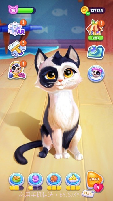 My Cat截图9