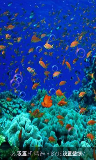 3D海底世界动态壁纸截图3