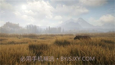 猎人：荒野的召唤正版截图1