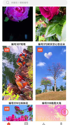 左拍视频截图2 左拍视频截图2