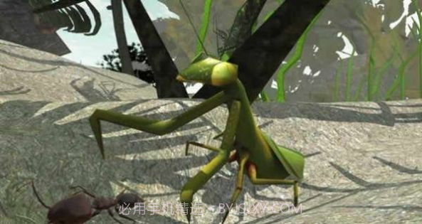 3d蚂蚁模拟器截图1