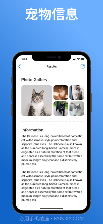 猫品种标识符:猫扫描仪截图3 猫品种标识符:猫扫描仪截图3