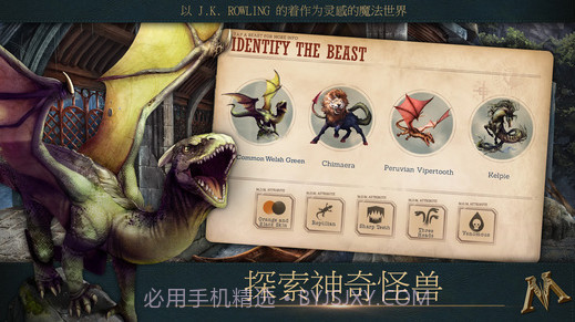 神奇动物:魔法世界关卡截图4