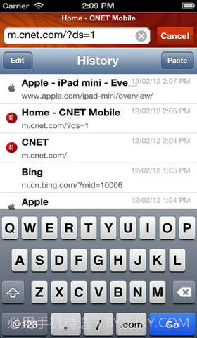 极速浏览器截图3