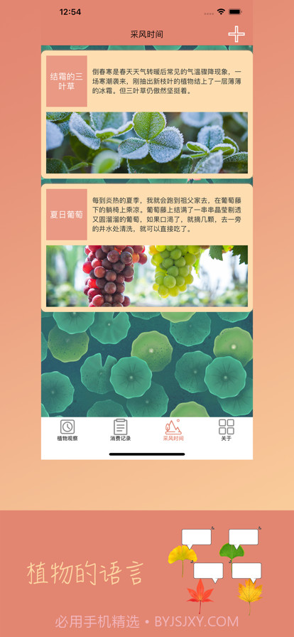 植物的语言截图3 植物的语言截图3