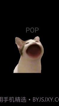 PopCat截图1