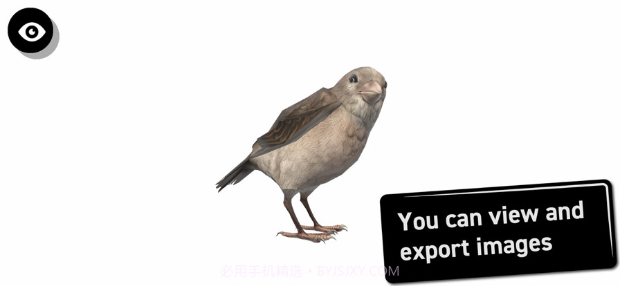 鸟类3D参考截图4 鸟类3D参考截图4