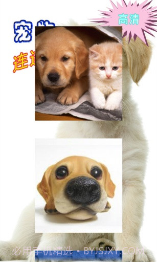 高清宠物连连看截图5
