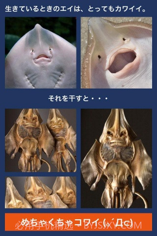 超体验晒鱼截图3 超体验晒鱼截图3